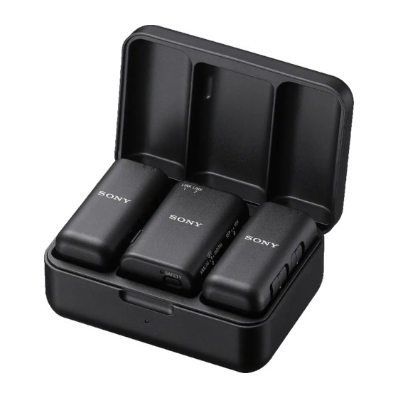 Dual-channel wireless microphone ECM-W3